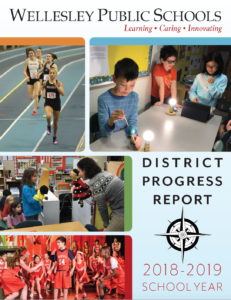 2018/2019 District Progress Report Cover